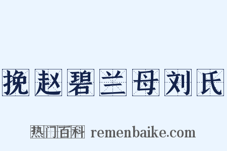 挽赵碧兰母刘氏是什么意思的图片